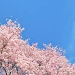 【福岡香椎Baron直伝】激戦の4月を乗り切る！🔥 リピーターを増やして安定収入をGETする4つの秘訣💖