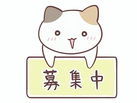 【福岡市東区香椎】10月もメンバー大募集！Baronで新しい自分を見つけよう✨